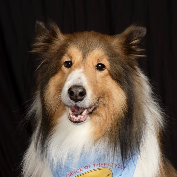 Meet your Posher, Joyce - Picture 1 of 1